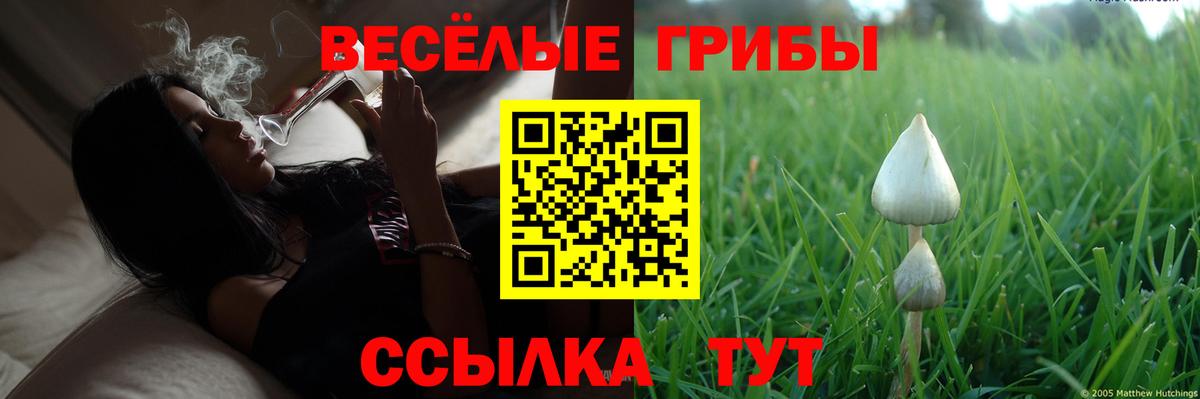 Псилоцибиновые грибы ЛСД  Вход с VPN  Белово  Псилоцибиновые грибы Cubensis 